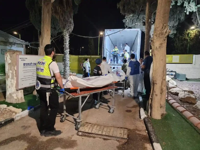 Outdoor nighttime scene with emergency workers loading bodies into an emergency truck near a palm tree.