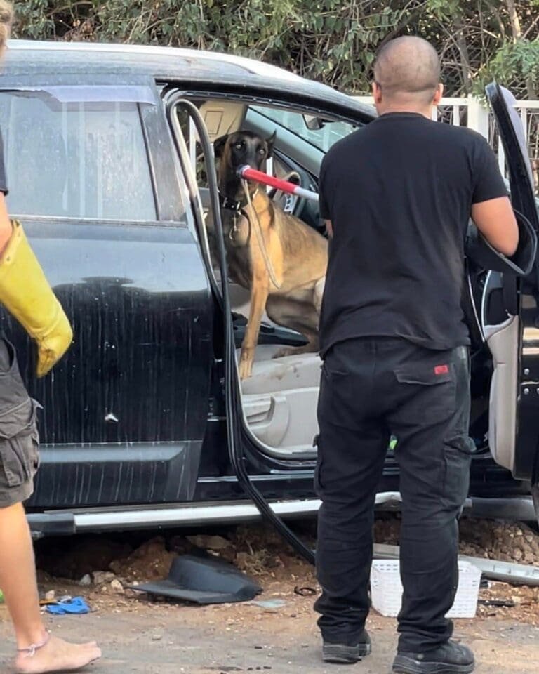 A black car with its door open showing a dog inside and a person standing rescue it.